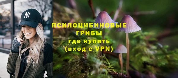 синтетический гашиш Зеленодольск