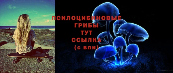 синтетический гашиш Зеленодольск