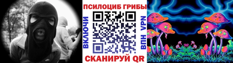 Галлюциногенные грибы MAGIC MUSHROOMS  где продают   Сельцо 
