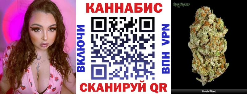 MEGA онион  Сельцо  Канабис сатива 